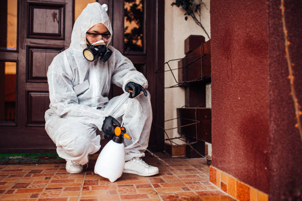 Reliable Wasp Removal contractor in Bowleys Quarters, MD by Show Me Pest Control