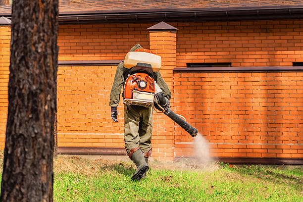Top rated local Wasp Removal specialists in Bowleys Quarters, MD